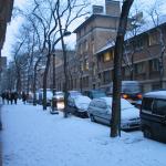 img_3993.jpg