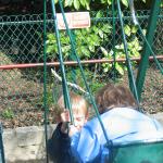 img_4423.jpg