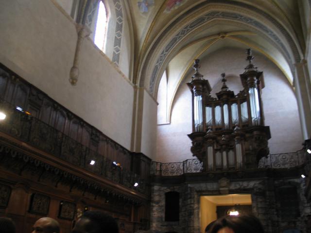 img_4231.jpg