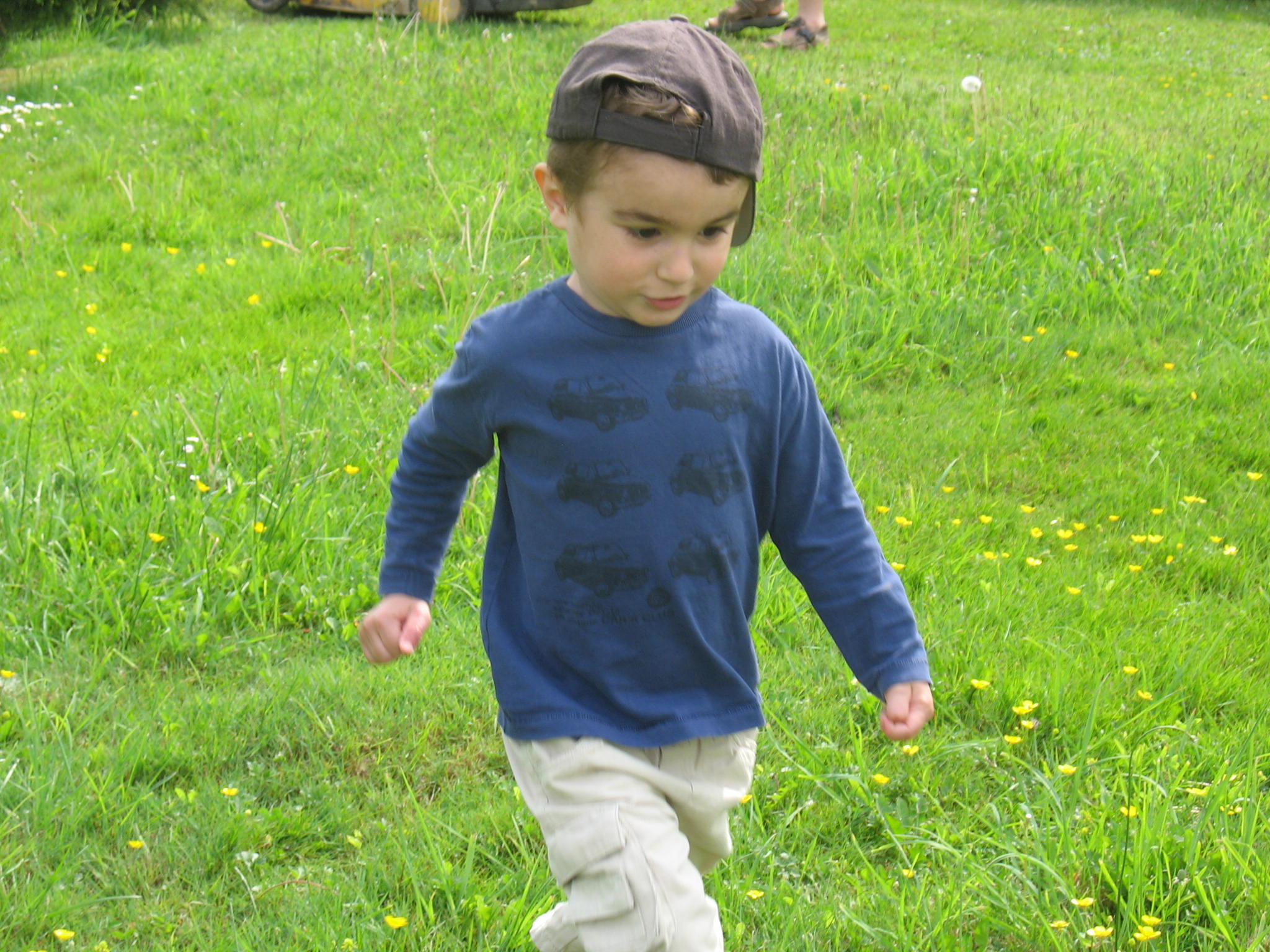 img_7959.jpg