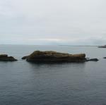 img_4701.jpg