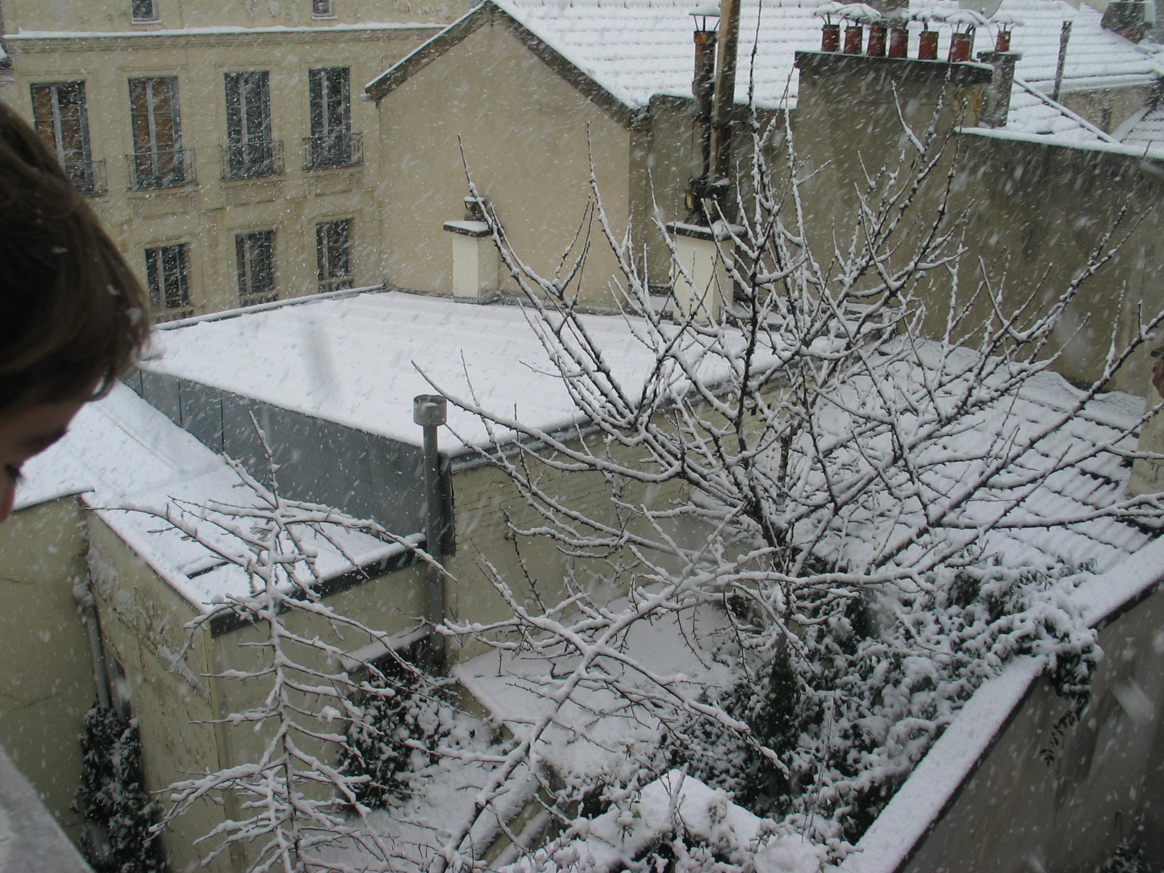 img_5092.jpg