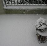img_5093.jpg