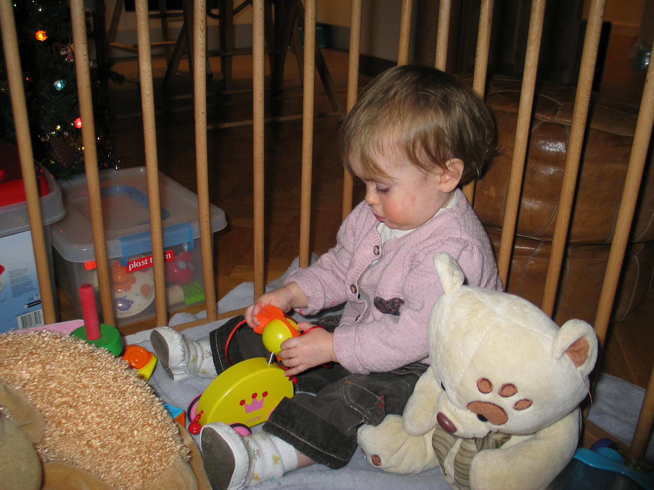 img_5133.jpg