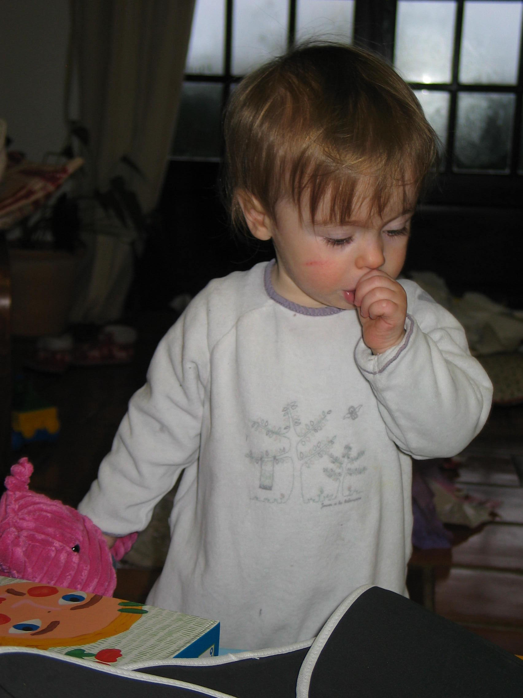 img_5252.jpg