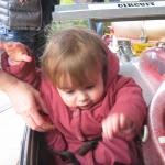 img_5513.jpg