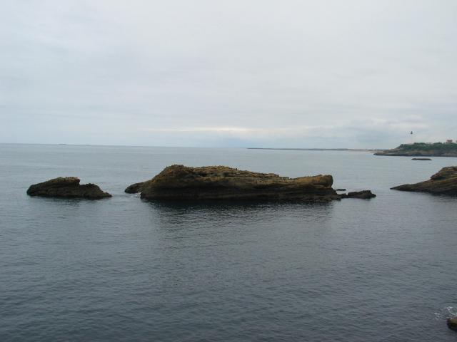 img_4701.jpg
