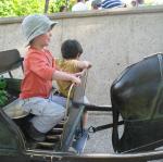 img_5591.jpg