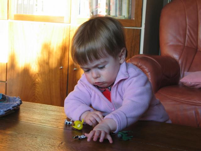 img_5620.jpg