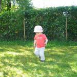 img_5667.jpg