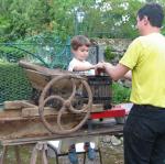 img_6036.jpg