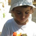 img_5952.jpg