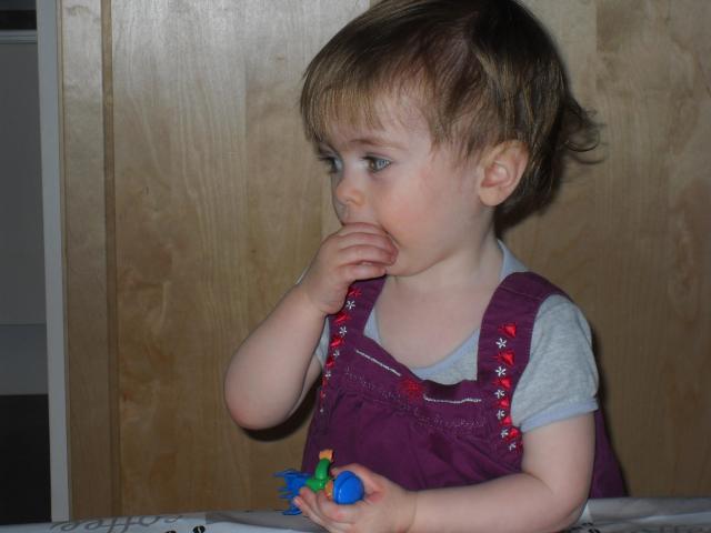 sdc18373.jpg