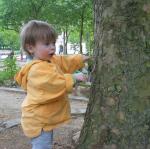Lucie et l'arbre