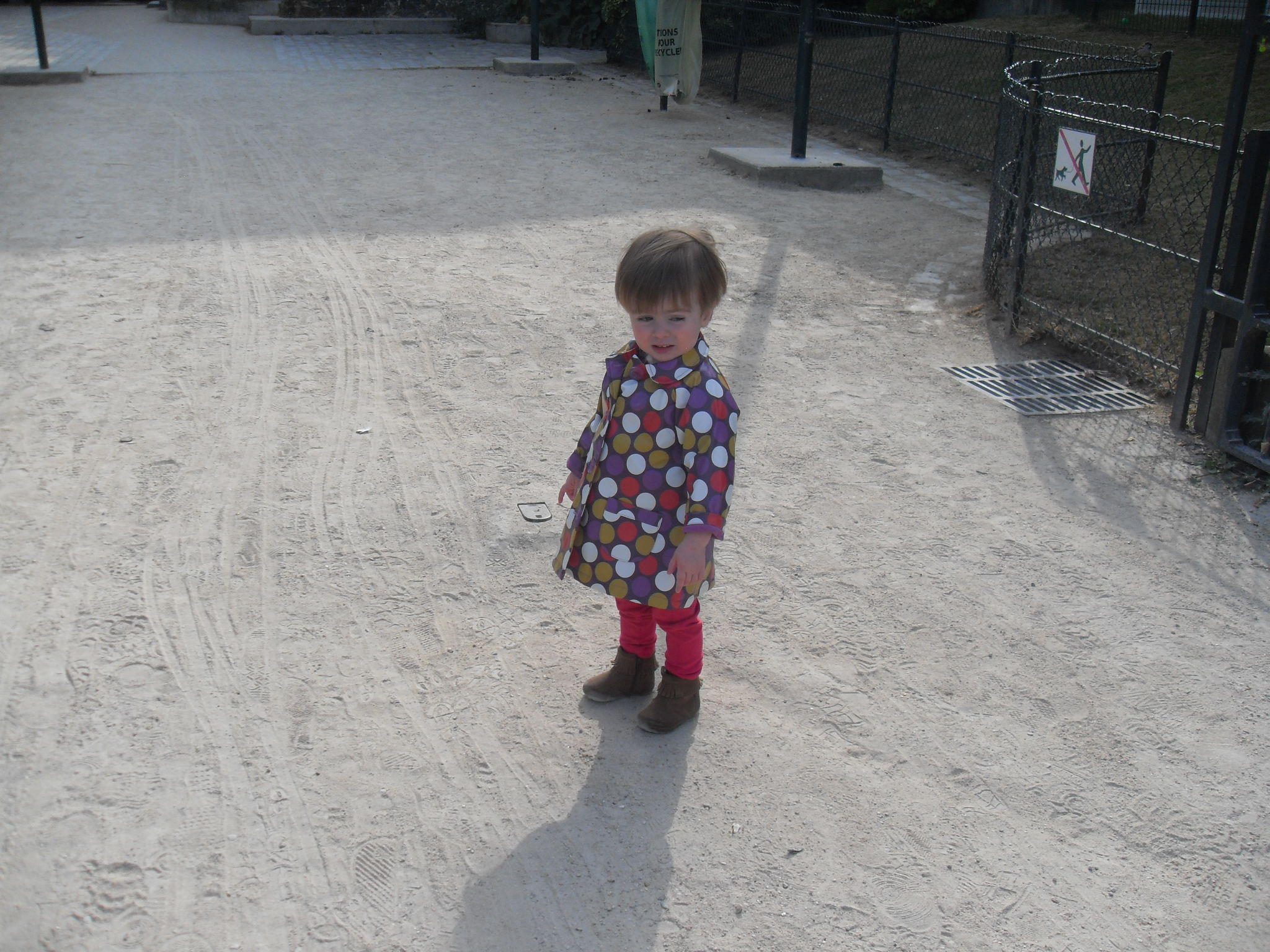 sdc19026.jpg