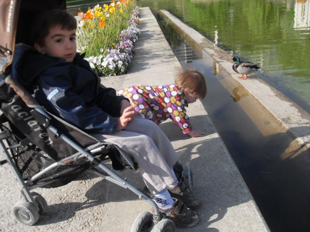 sdc19040.jpg