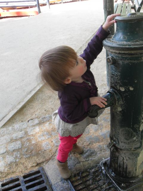 sdc19073.jpg