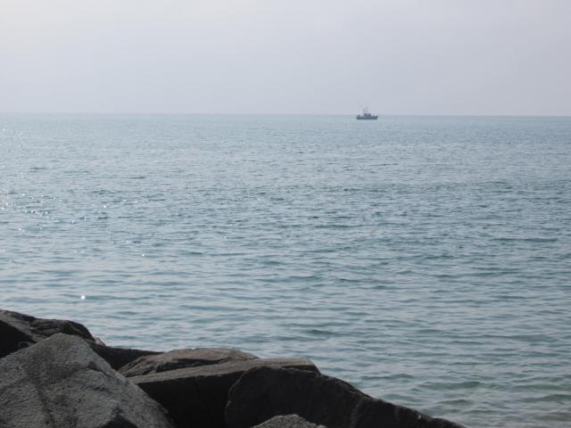 img_176.jpg