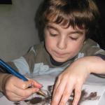 IMG_3381.jpg