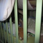 img_1249.jpg