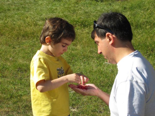 img_1478.jpg