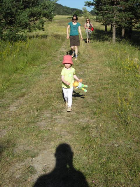 img_1519.jpg