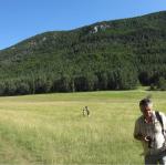 pano