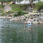 img_2268.jpg