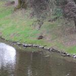 img_2291.jpg