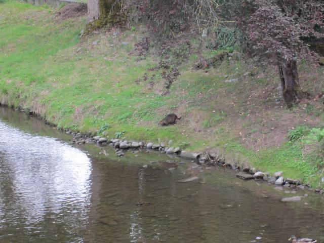 img_2291.jpg