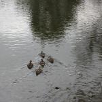 img_2293.jpg