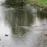 img_2294.jpg