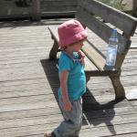 img_2344.jpg
