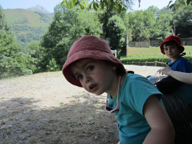 img_2348.jpg