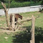img_2360.jpg