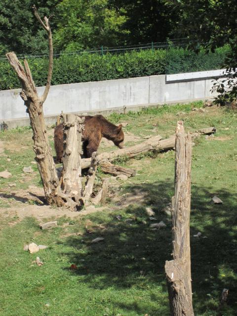 img_2360.jpg