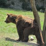 img_2363.jpg