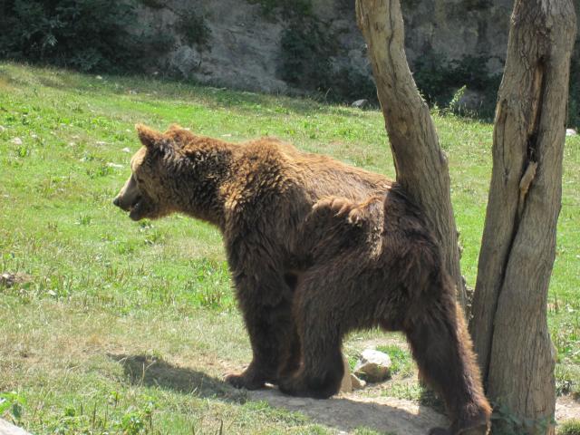 img_2363.jpg