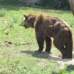 img_2365.jpg