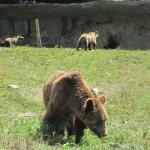 img_2370.jpg