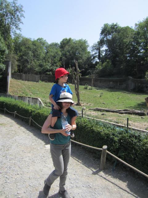 img_2372.jpg