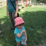 img_2374.jpg
