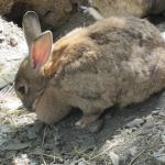 img_2386.jpg