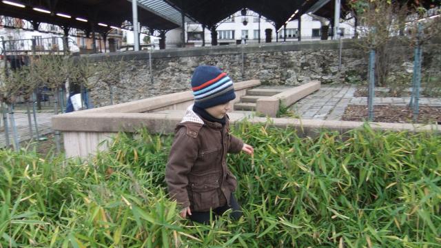 dscf0599.jpg