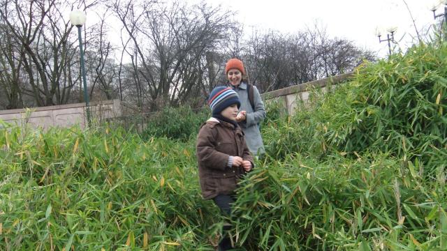dscf0613.jpg