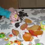IMG_2725.jpg