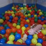 IMG_2728.jpg