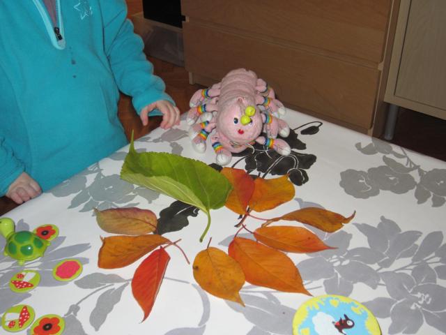 photos Patie 11-2012 026.jpg