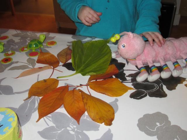 photos Patie 11-2012 027.jpg