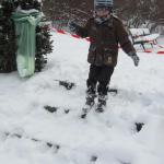 img_2980.jpg